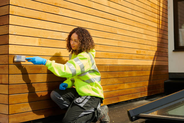 Best Steel Siding Installation  in Quitman, TX